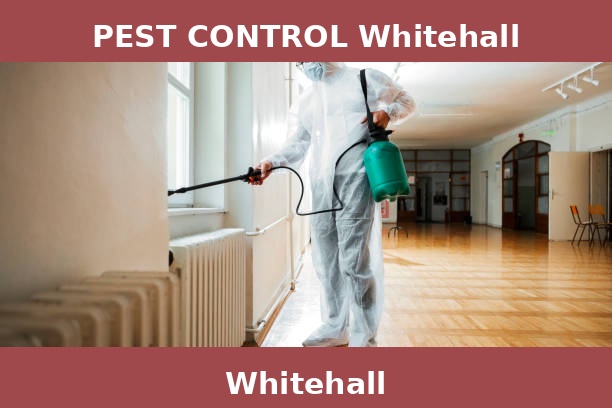PEST CONTROL Whitehall